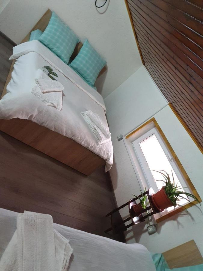 Hotel Casa Radu Tulcea Esterno foto