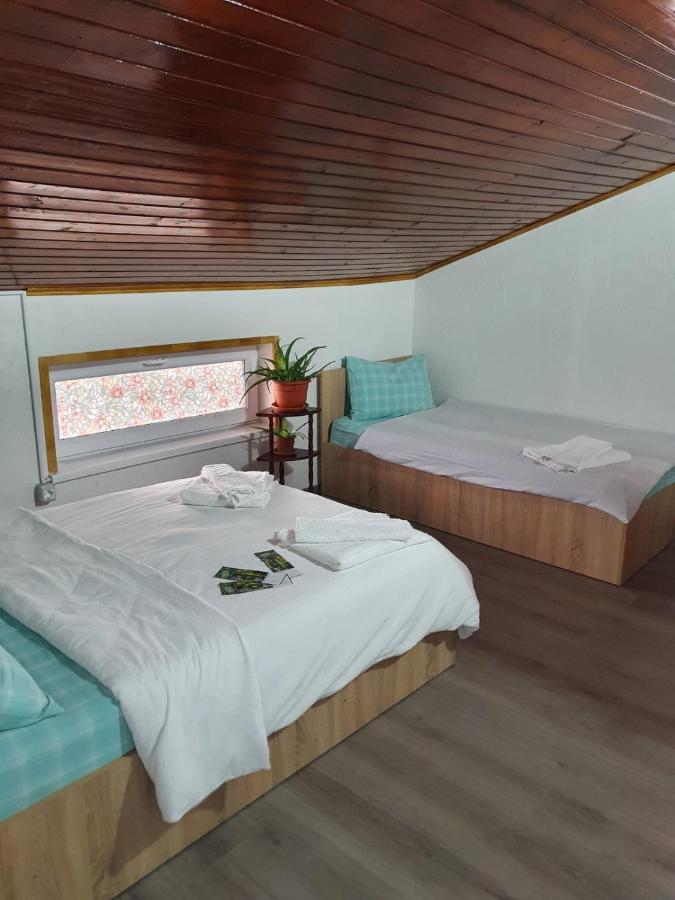 Hotel Casa Radu Tulcea Esterno foto
